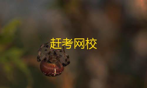 第五人格辅助位推荐赶考网校